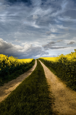 Pathway to farms, nature, 240x320 wallpaper