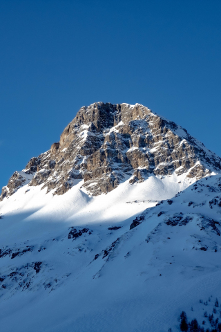 Sunny day, mountain peak, glacier, 240x320 wallpaper