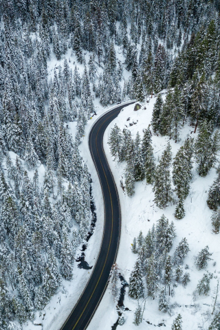 Nature, aerial view, highway, forest, 240x320 wallpaper