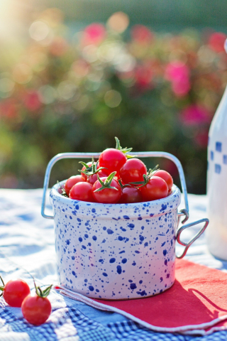 Cherry, tomatoes, dinning table, bottle, basket, 240x320 wallpaper