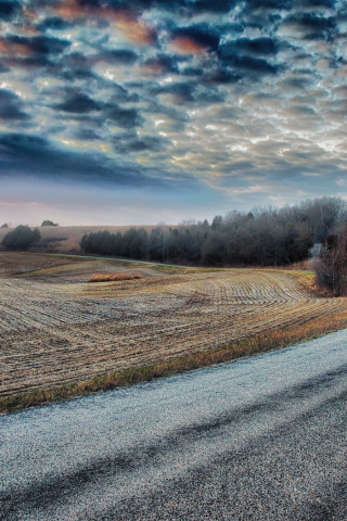 Farms along roadside, landscape, sunset, 240x320 wallpaper