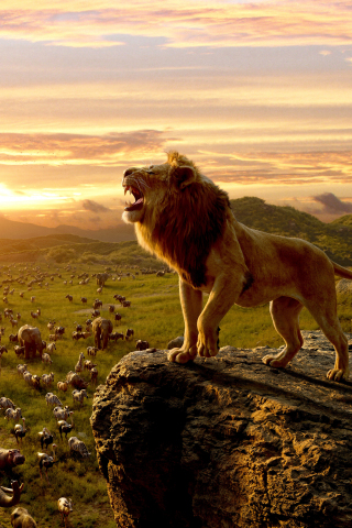 The Lion King, king of jungle, movie 2019, Simba, 240x320 wallpaper