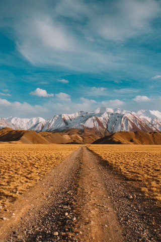 Desert, landscape, blue skyline, mountains, 240x320 wallpaper