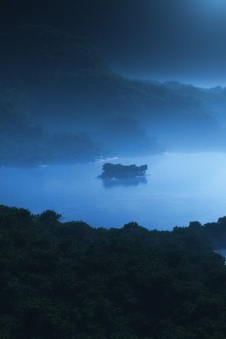 Moonlight, forest, hills, lake, fog, 240x320 wallpaper