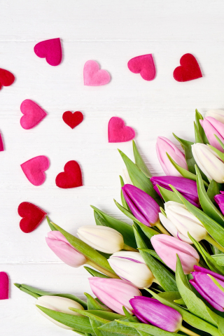 Heart, shapes, flowers, pink tulips, 240x320 wallpaper