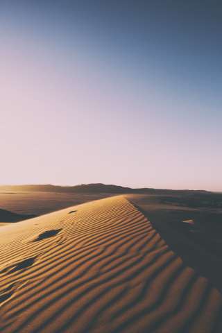 Desert, sunset, clean skyline, sand, dunes, 240x320 wallpaper