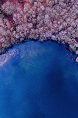 Nature, aerial view, color, lake, forest, colorful, 240x320 wallpaper