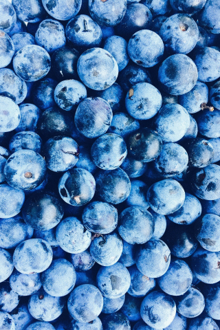 Fresh, blueberry, fruits, 240x320 wallpaper