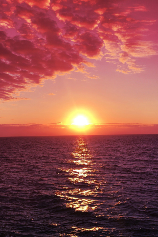 Sunrises, red-pink sky, sea, nature, 240x320 wallpaper