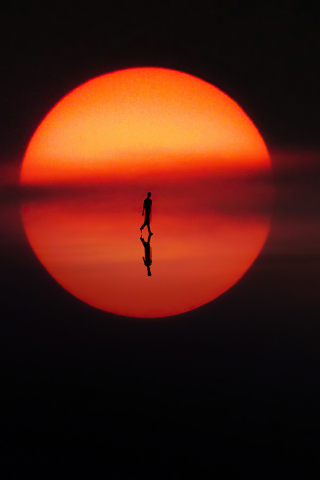 Reflection, solitude, sun, silhouette, artwork, 240x320 wallpaper