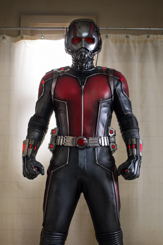 Marvel, movie, Ant-man, 240x320 wallpaper