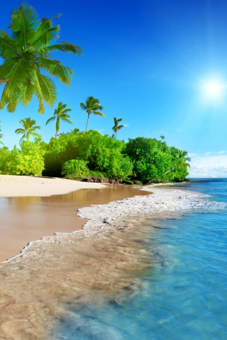 Tropical beach, sea, calm, sunny day, holiday, 240x320 wallpaper