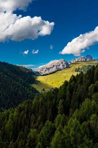 Trees, mountains, clouds, summer, sunny day, 240x320 wallpaper