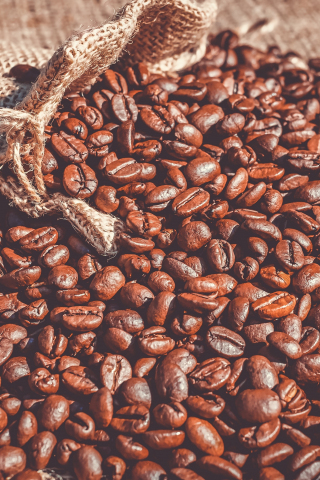Coffee beans, roasted, 240x320 wallpaper