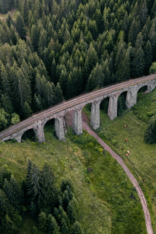Aerial view, green trees, forest, bridge, 240x320 wallpaper