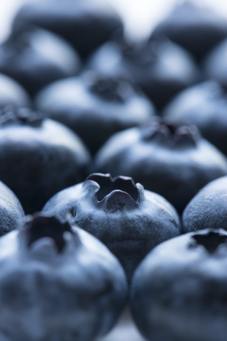 Fruit, blueberry, close up, 240x320 wallpaper