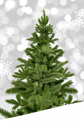 Christmas tree, holiday, decorations, bokeh, 240x320 wallpaper