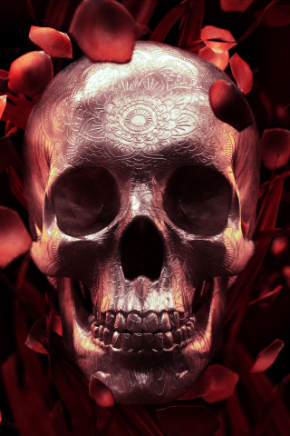 Skull, rose petals, digital art, 240x320 wallpaper