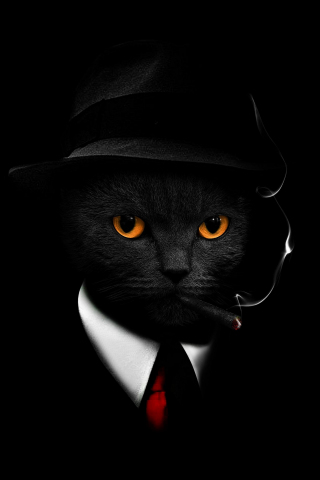 Black cat in suit, black hat & cigar, dark, 240x320 wallpaper