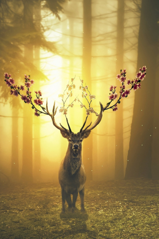 Deer, forest, surreal, 240x320 wallpaper