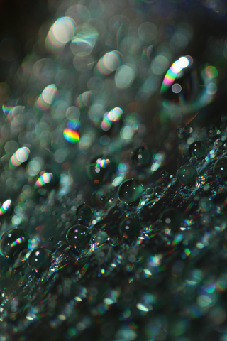 Bubbles, shine, blur, bokeh, macro, 240x320 wallpaper