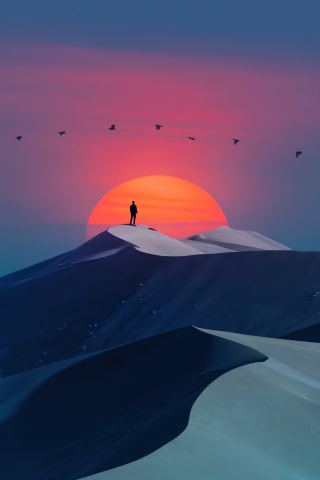 Birds over desert, sunset & man, silhouette, minimal art, 240x320 wallpaper