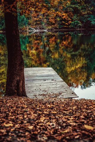 Pier, lake, fall, leaves, autumn, lake, reflections, 240x320 wallpaper