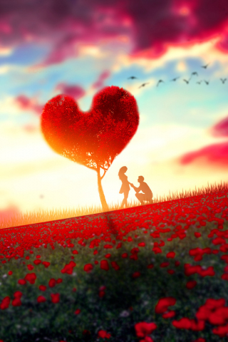Couple, romantic moment, rose farm, tree, sunset, 240x320 wallpaper