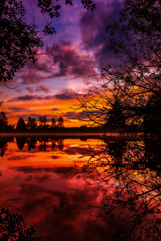 Sunrise, clouds, lake, trees, reflections, 240x320 wallpaper