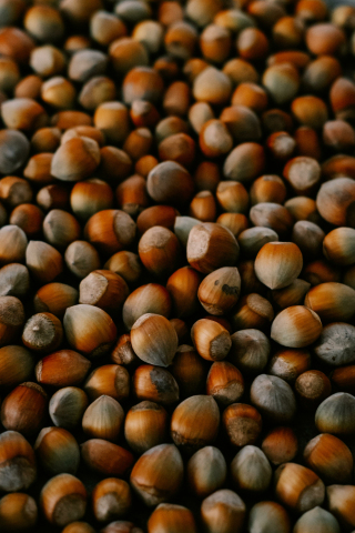 Nuts, close up, 240x320 wallpaper
