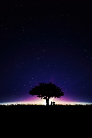 Couple, romantic nigth, lone tree and couple, silhouette, 240x320 wallpaper