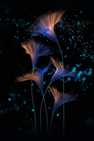 Flowers, abstract, glow, digital art, 240x320 wallpaper