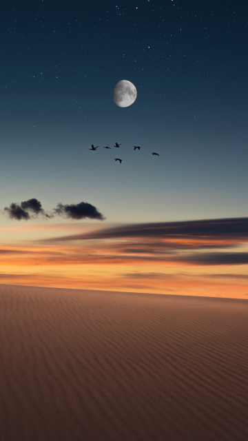 Full moon, birds, landscape, desert, 360x640 wallpaper