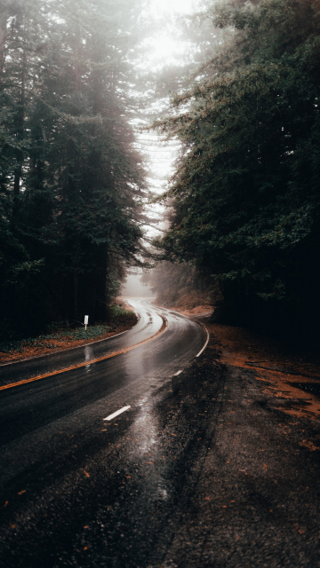 Highway turn, road, rainy, water on road, 360x640 wallpaper