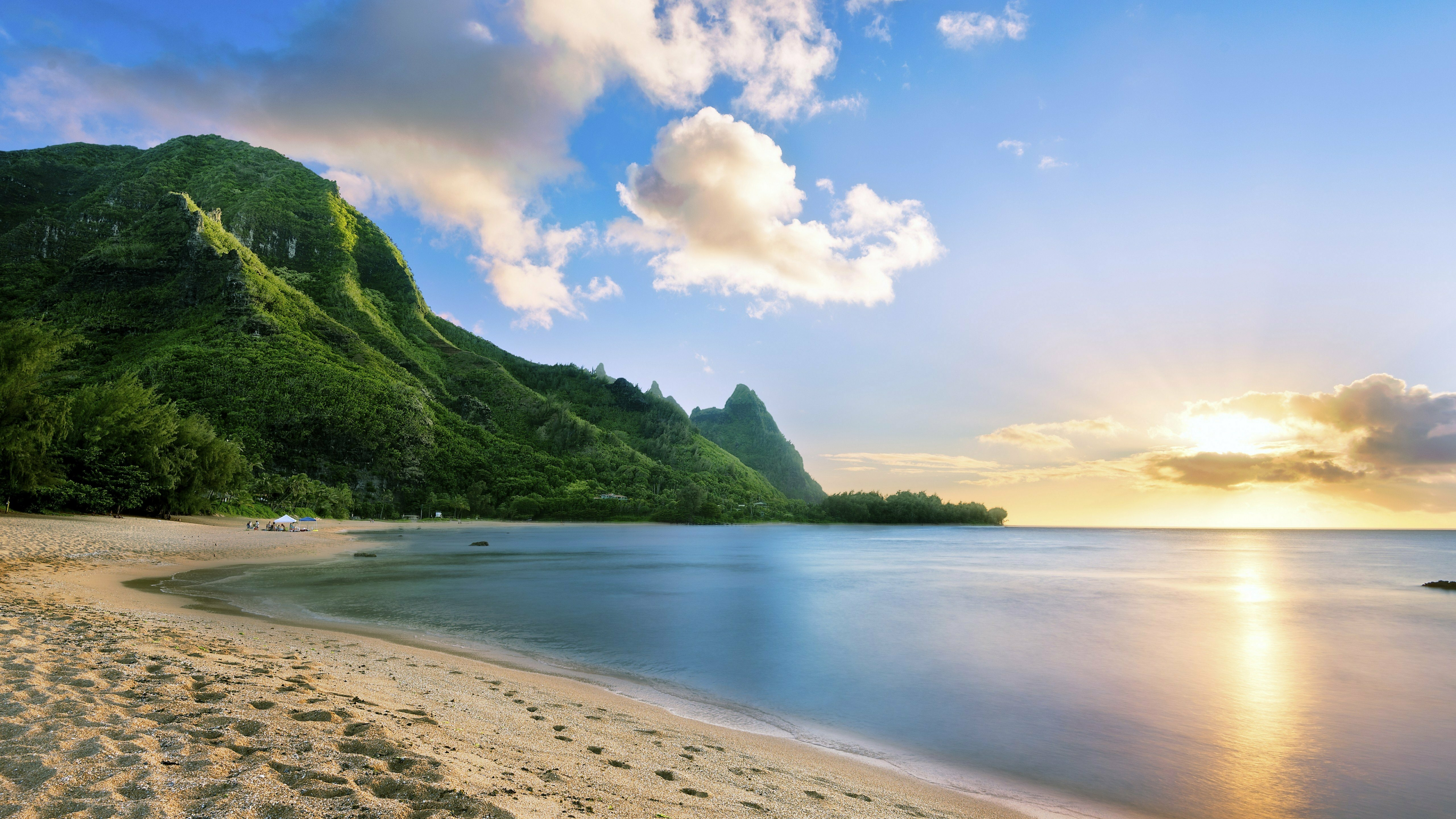 hawaii beach sunny day