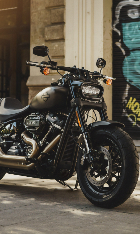 2019 Harley-Davidson, motorcycle, 480x800 wallpaper
