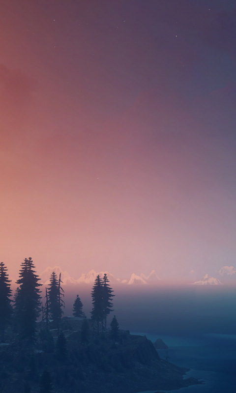 The Witcher 3: Wild Hunt, landscape, panorama, sky, 480x800 wallpaper
