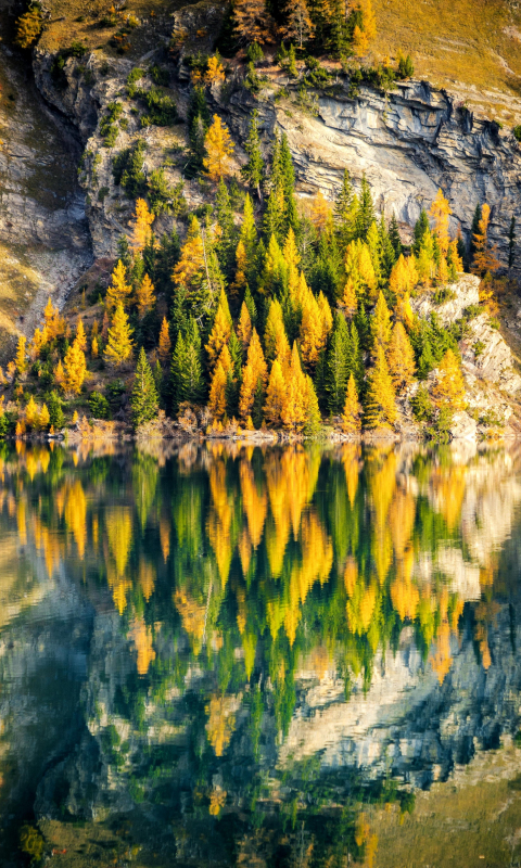 Download wallpaper 480x800 adorable reflection, nature, trees, autumn,  nokia x, x2, xl, 520, 620, 820, samsung galaxy star, ace, asus zenfone 4,  480x800 hd background, 28671