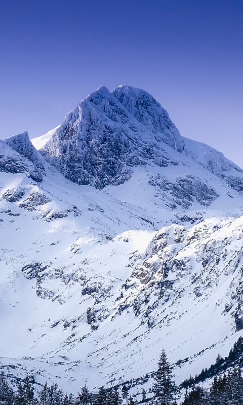 Winter, glacier, mountain, nature, 480x800 wallpaper