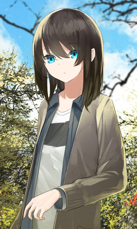 Download Wallpaper 480x800 Blue Eyes, Brunette, Anime Girl, Nokia X, X2