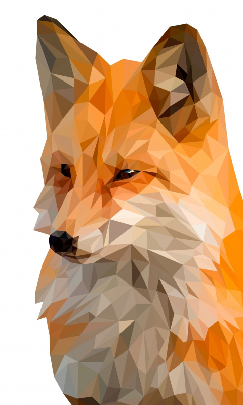 Fox, muzzle, digital art, low poly, 480x800 wallpaper