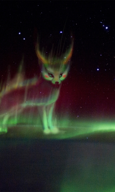 Download wallpaper 480x800 northern lights, fox, fantasy, art, nokia x ...