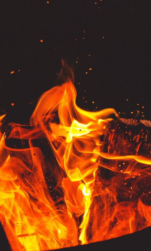 Free Stock Photo of Camp Fire At Night | Download Free Images and Free  Illustrations