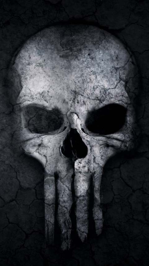 Download wallpaper 480x854 dark, skull, logo, punisher, nokia lumia 630,  sony ericsson xperia, 480x854 hd background, 3511