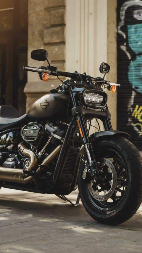 2019 Harley-Davidson, motorcycle, 480x854 wallpaper