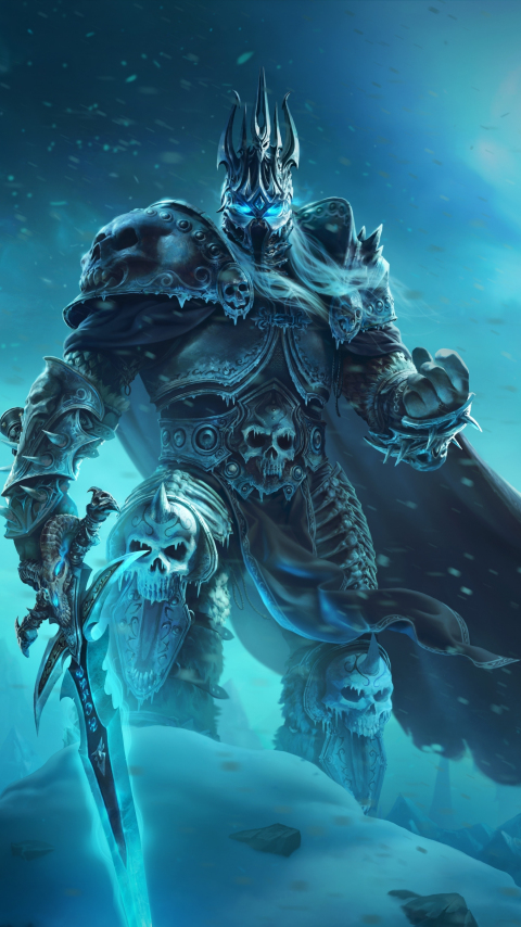 Dark King, World of Warcraft: Wrath of the Lich King, online game, 480x854 wallpaper