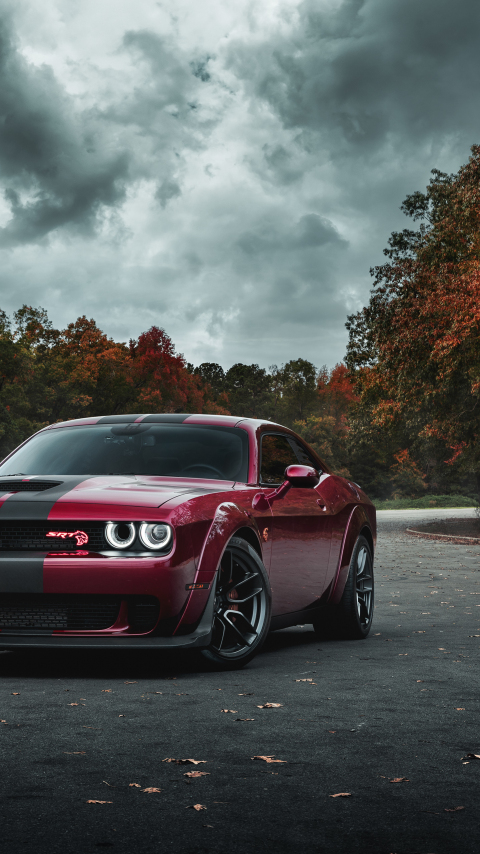 Dodge Challenger SRT Hellcat, muscle car, blood-red car, 480x854 wallpaper