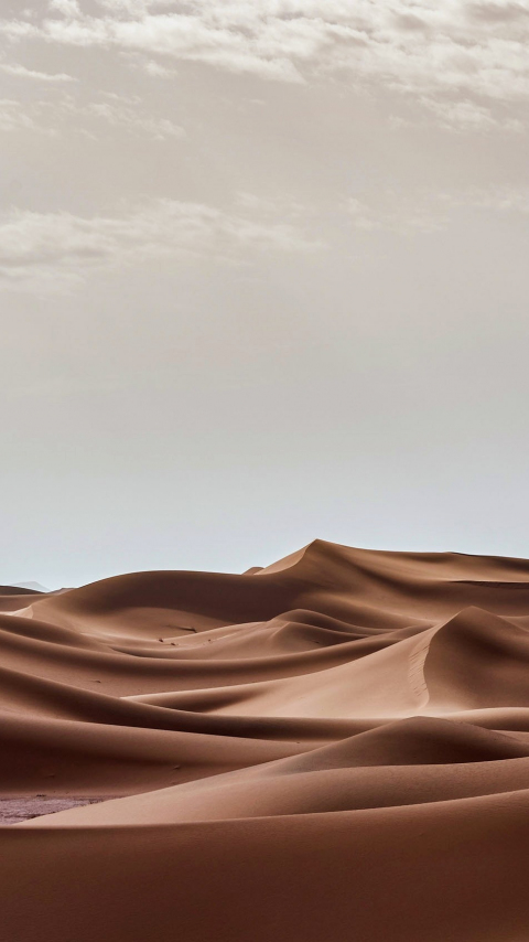 Landscape, desert dunes, nature, 480x854 wallpaper