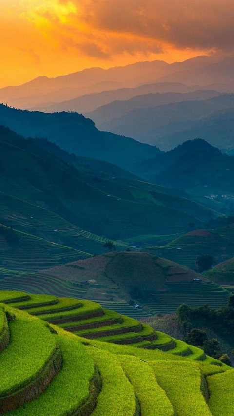 Rice farms, landscape, horizon, mountains, Philippines, 480x854 wallpaper