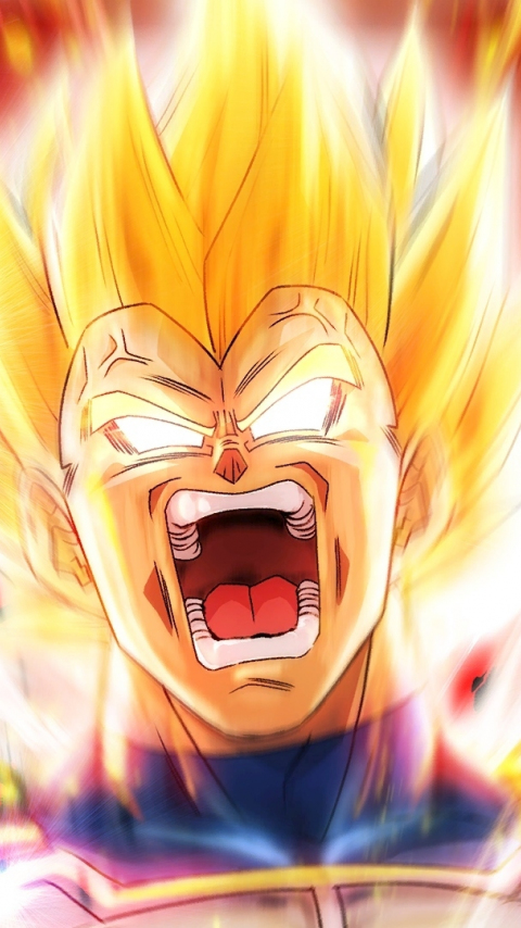 Dragon Ball Z, angry Vegeta, anime, 480x854 wallpaper